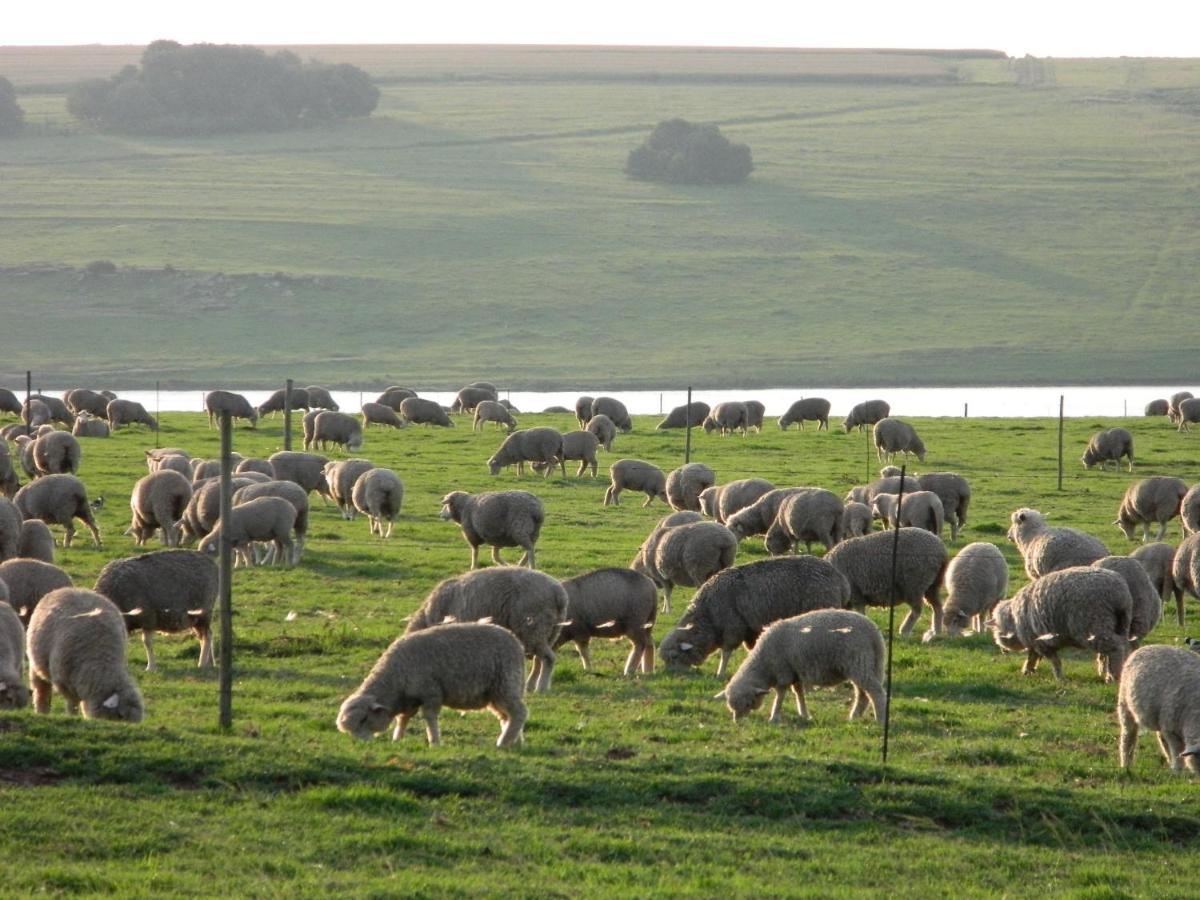 La Vista Farm Stay Ermelo Eksteriør bilde