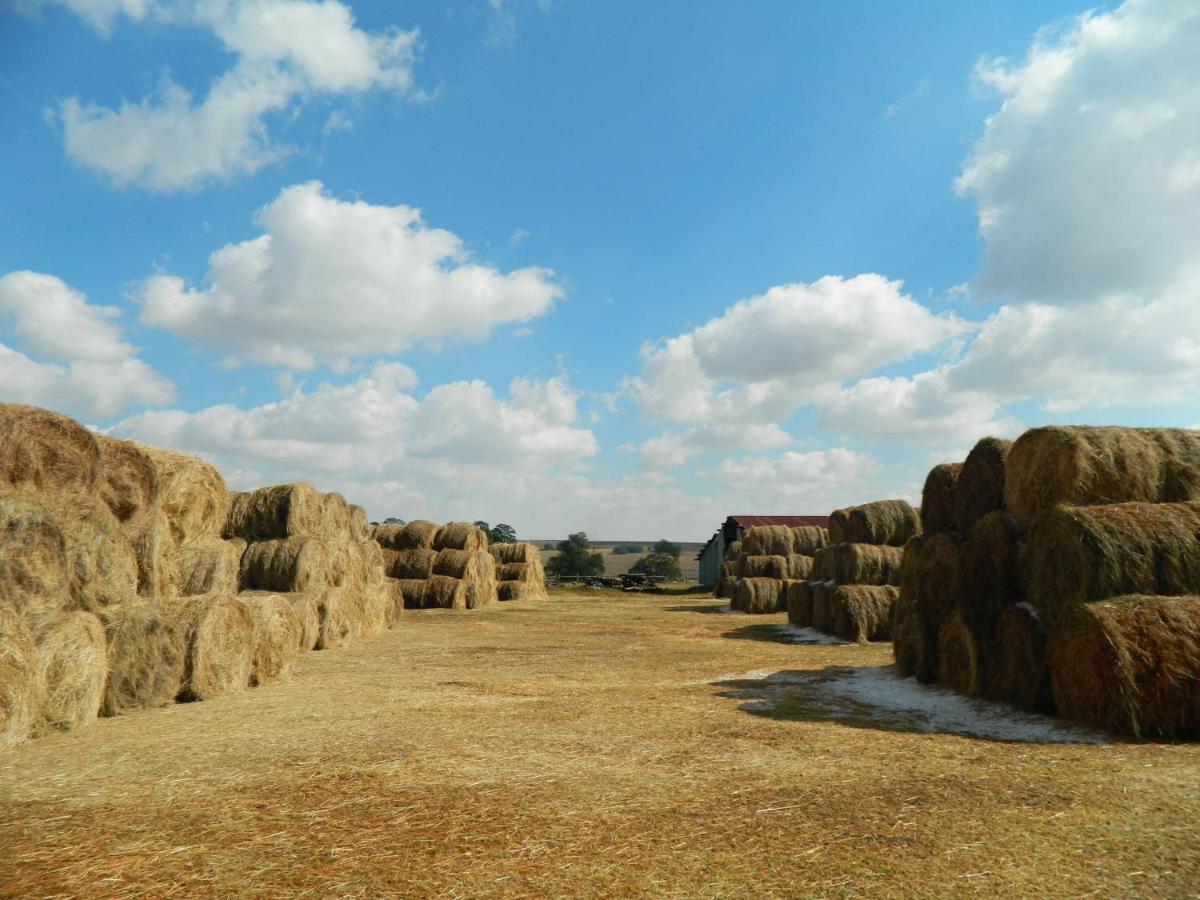 La Vista Farm Stay Ermelo Eksteriør bilde