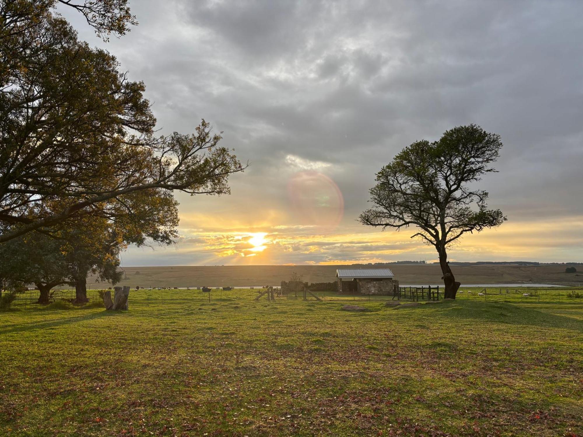 La Vista Farm Stay Ermelo Eksteriør bilde